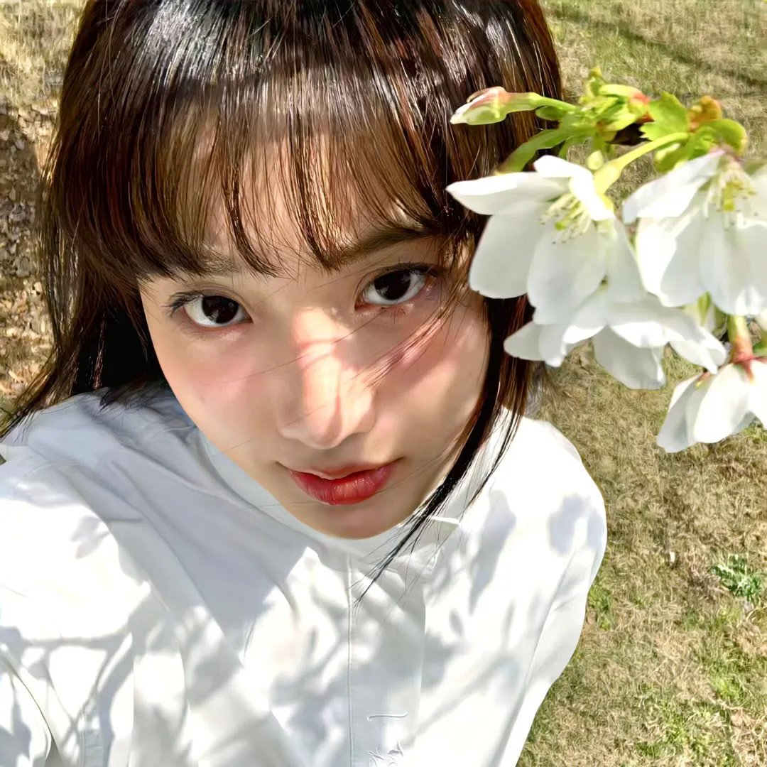 彩凤云裳